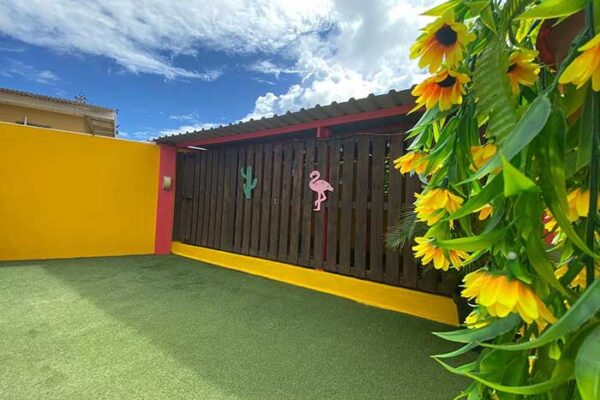 outside_kennels_2022_02 outside_kennels_2022_02