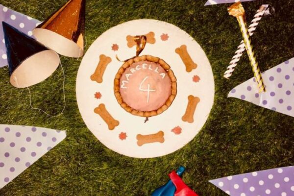 WhatsApp-Image-2020-05-23-at-9.03.41-AM-700x500 WhatsApp-Image-2020-05-23-at-9.03.41-AM-700x500