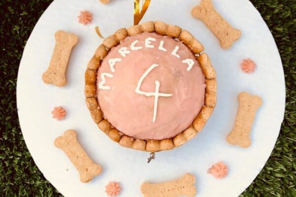 WhatsApp-Image-2020-05-23-at-9.03.42-AM-1-700x500 WhatsApp-Image-2020-05-23-at-9.03.42-AM-1-700x500