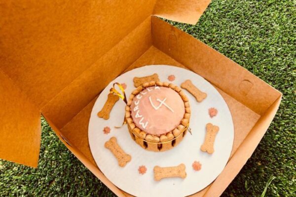 WhatsApp-Image-2020-05-23-at-9.03.43-AM-700x500 WhatsApp-Image-2020-05-23-at-9.03.43-AM-700x500