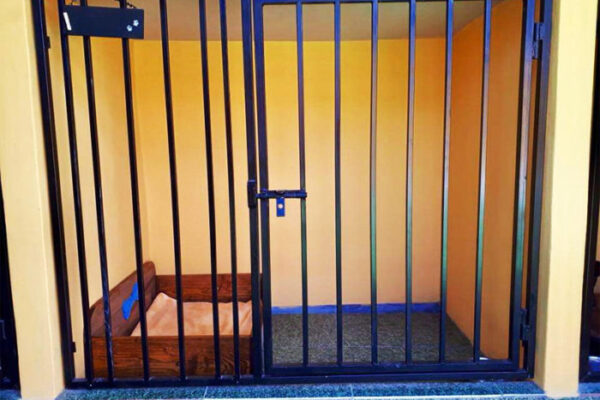 ac-kennels-02-700x500 ac-kennels-02-700x500