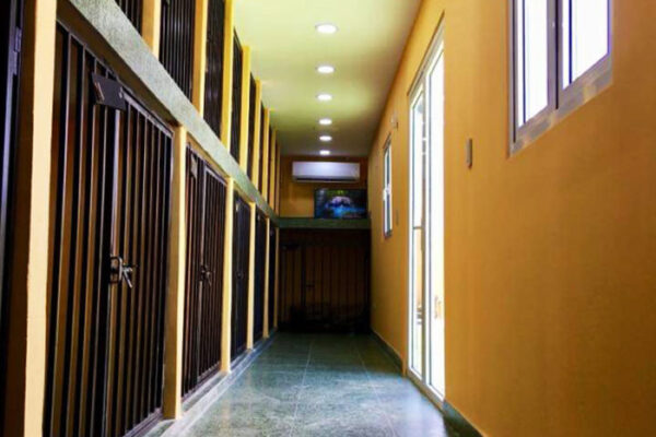 ac-kennels-03-700x500 ac-kennels-03-700x500