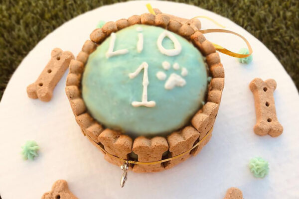 dog-bakery-aruba-cake-1 dog-bakery-aruba-cake-1