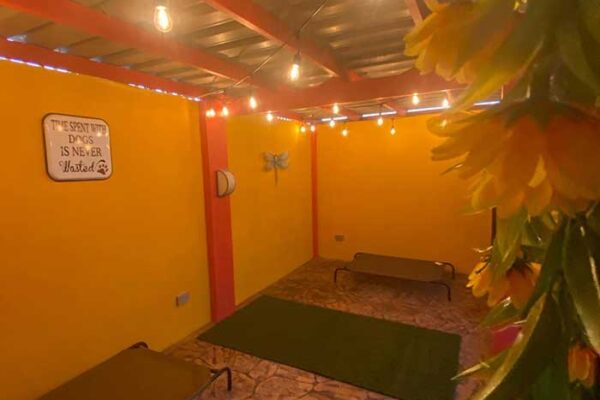 outside_kennels_2022_04 outside_kennels_2022_04