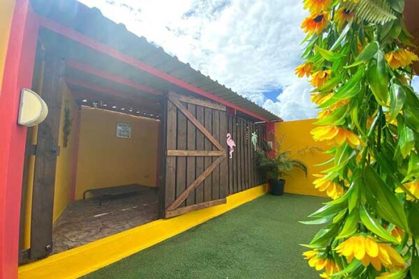 outside_kennels_2022_07 outside_kennels_2022_07