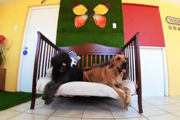 presidential-suite-01-700x500 presidential-suite-01-700x500