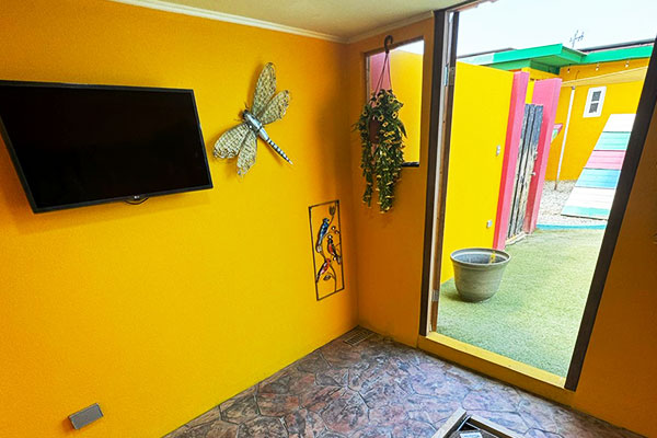 dha-acdeluxe-01 dha-acdeluxe-01