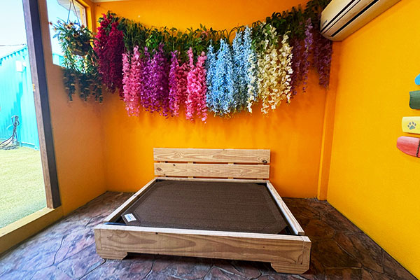 dha-acdeluxe-02 dha-acdeluxe-02